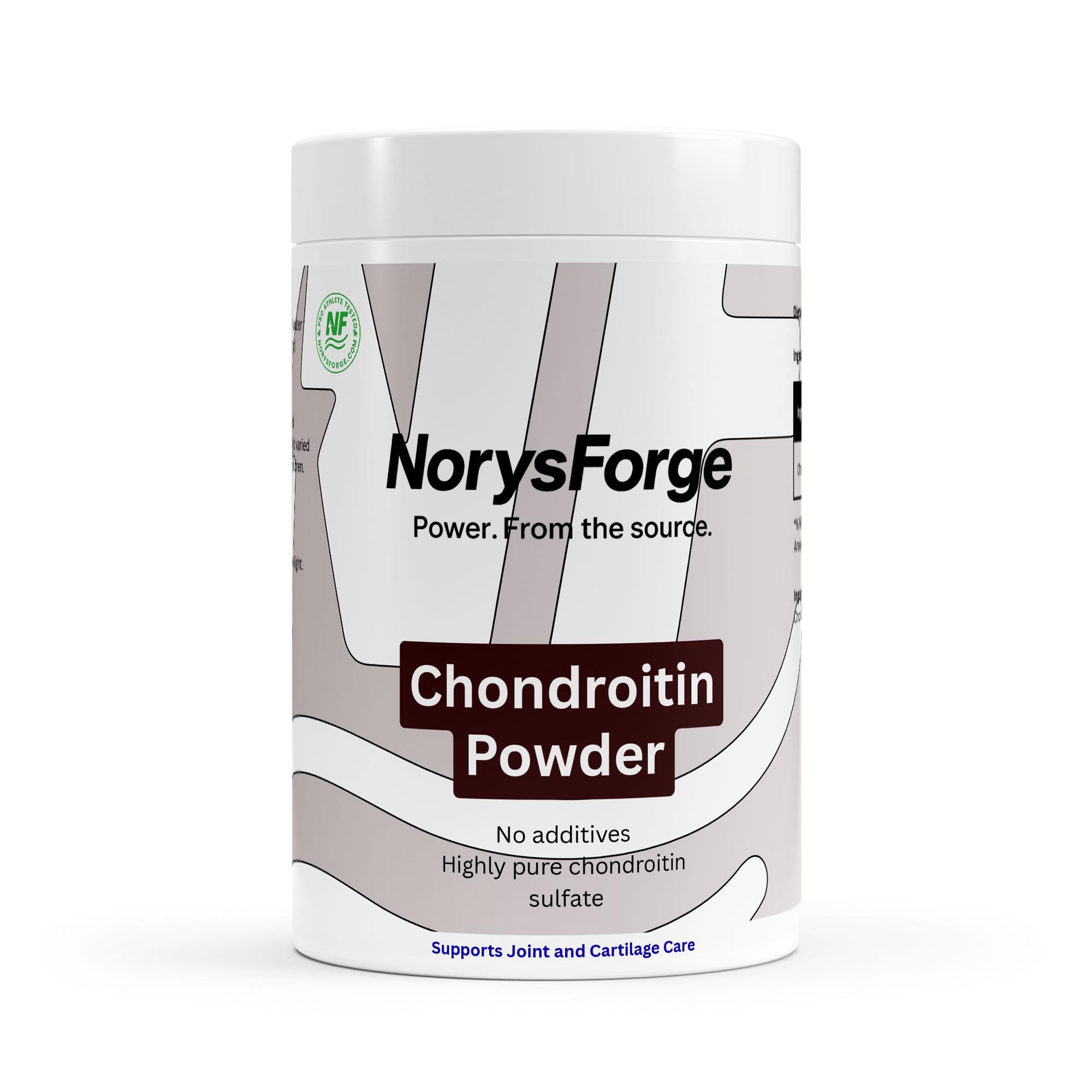 Chondroitin Powder | 100g | Joint Mobility & Flexibility Support - NorysForge