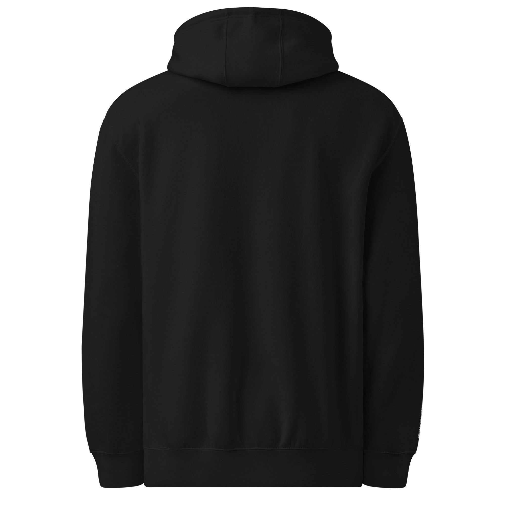 Men's premium NF hoodie - NorysForge