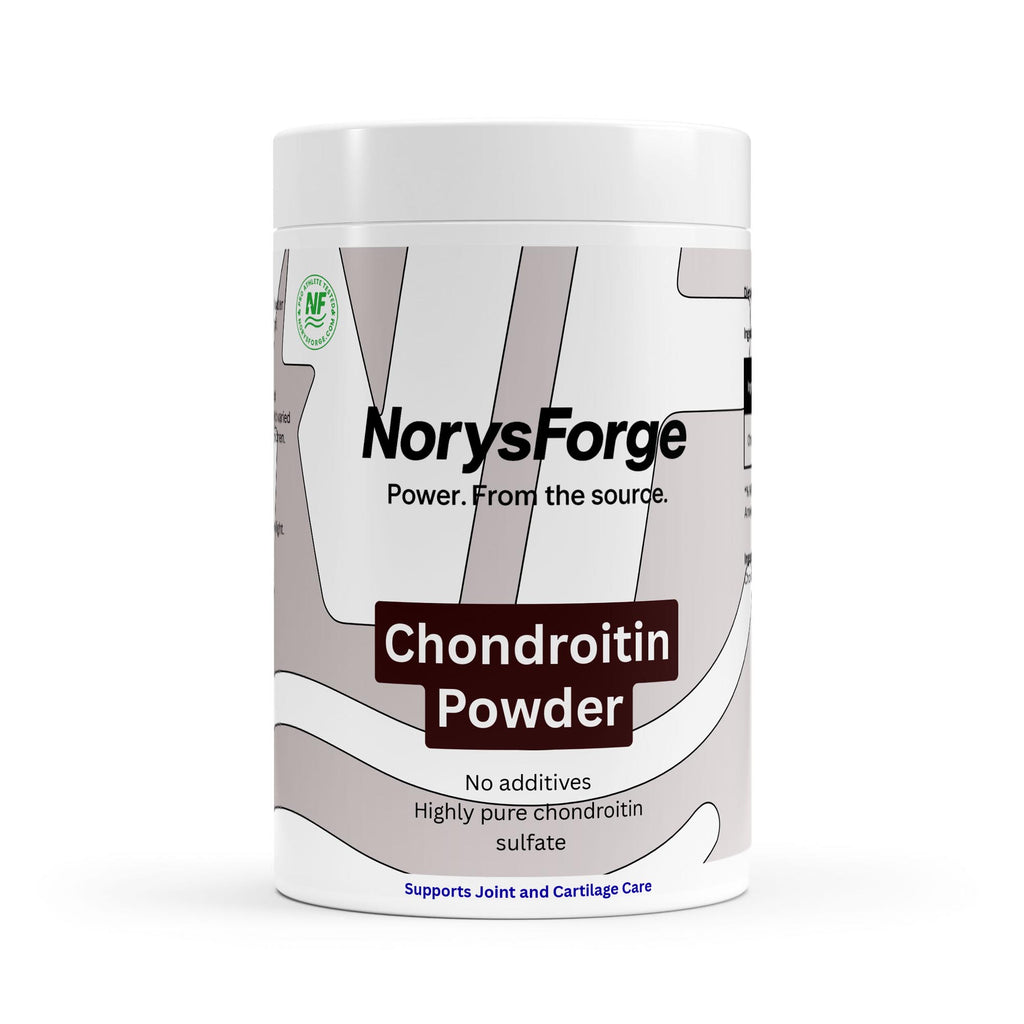 Chondroitin Powder | 100g | Joint Mobility & Flexibility Support - NorysForge 